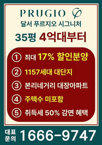 팝업 이미지